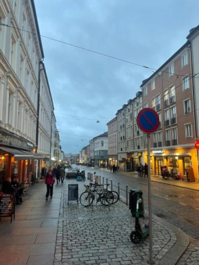 Romslig Leilighet i Oslo Sentrum Grunerløkka